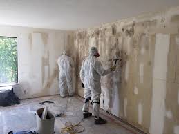 Best Mold Damage Restoration  in Hays, NC